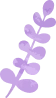 葉飾り罫2
